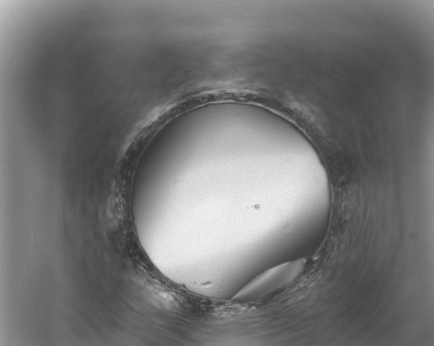 X0000060791159200511141436