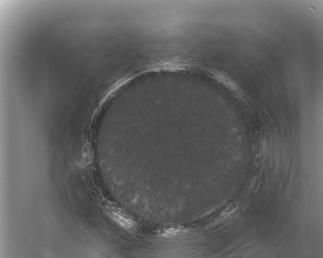 X0000060791160200511141436