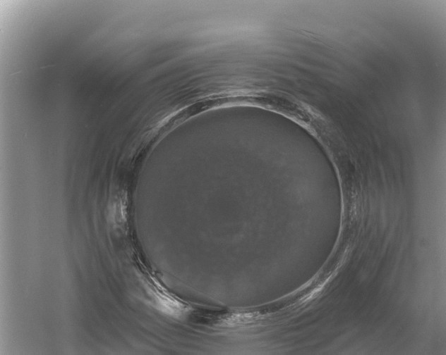 X0000060791161200511141436