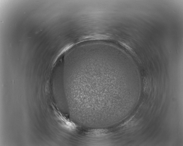 X0000060791163200511141436