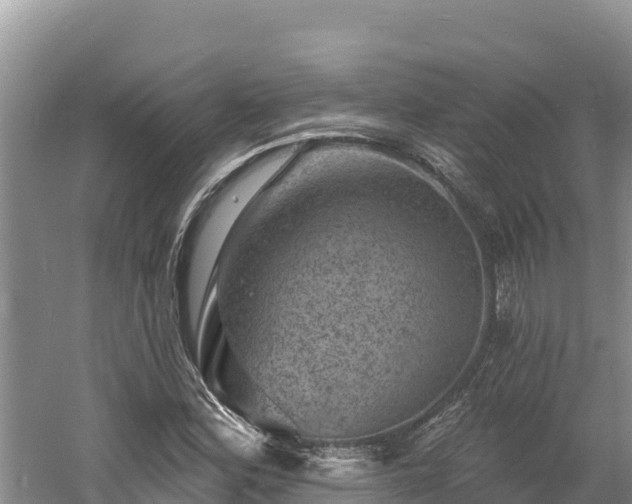 X0000060791164200511141436