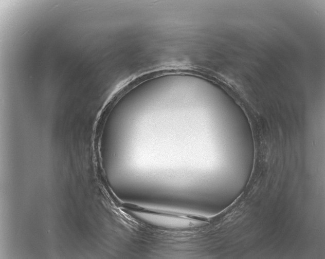 X0000060791168200511141436