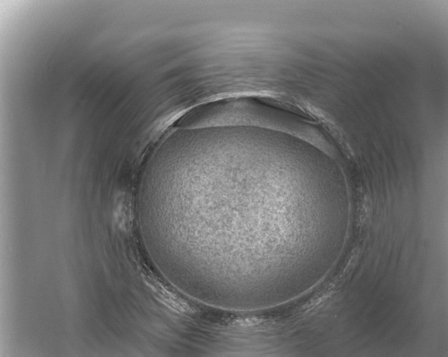 X0000060791169200511141436