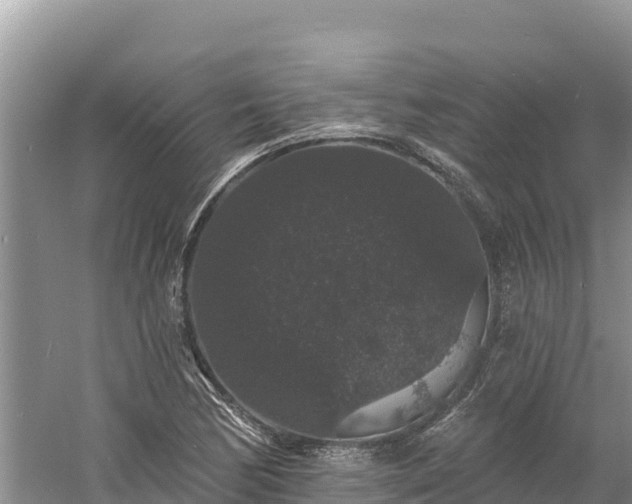 X0000060791170200511141436