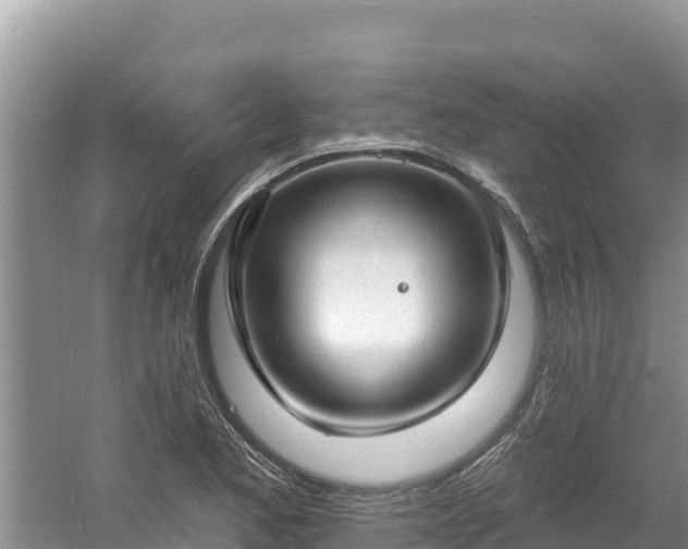 X0000060791173200511141436