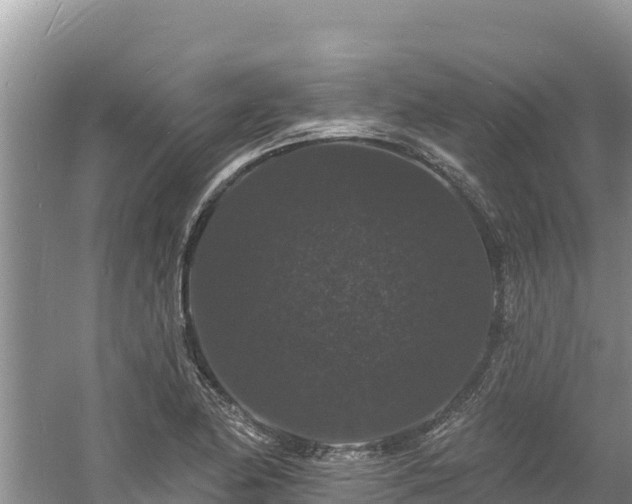 X0000060791174200511141436