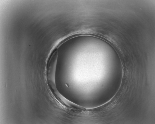 X0000060791176200511141436