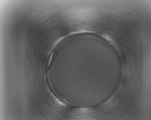 X0000060791177200511141436