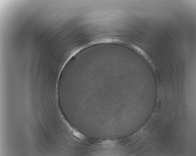 X0000060791178200511141436