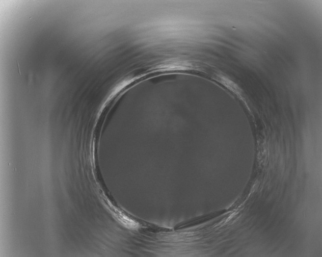 X0000060791179200511141435