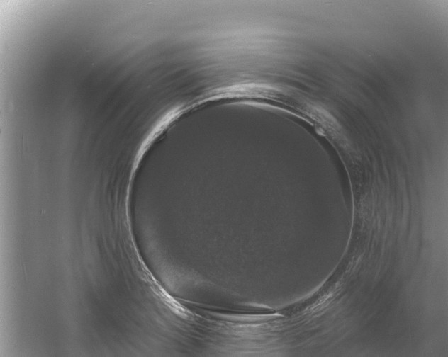 X0000060791180200511141435