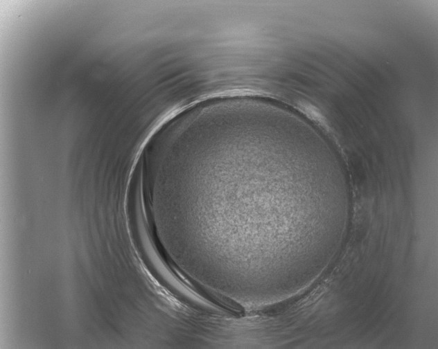 X0000060791181200511141435