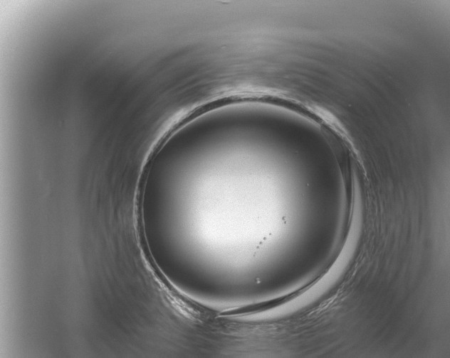 X0000060791183200511141435