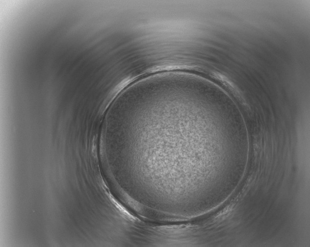 X0000060791185200511141435