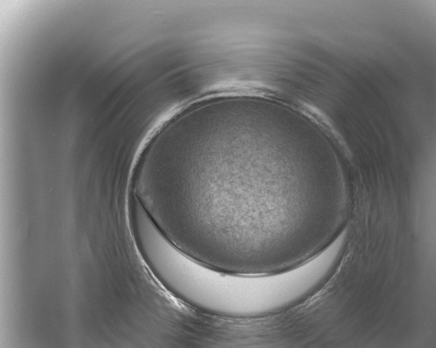 X0000060791188200511141435