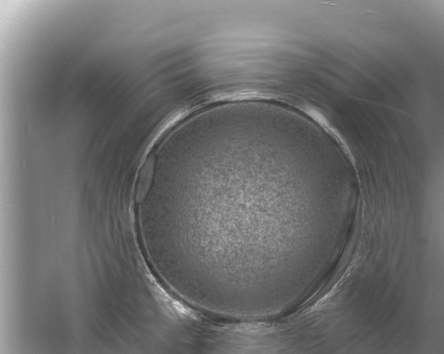 X0000060791189200511141435