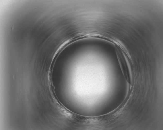 X0000060791190200511141435