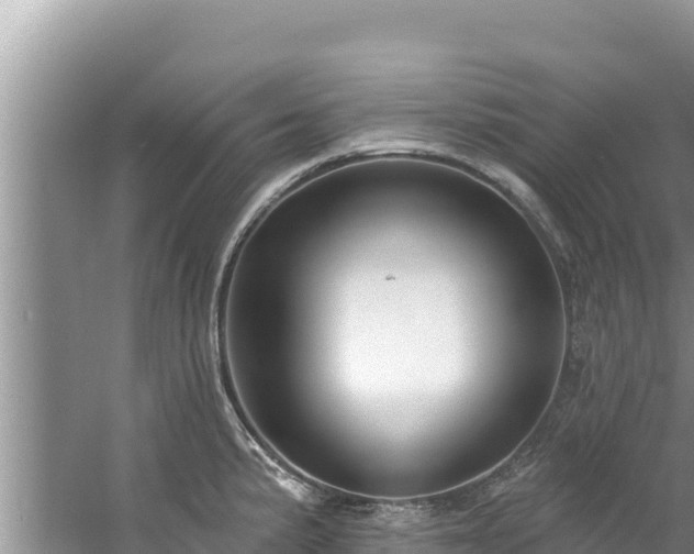 X0000060791191200511141435