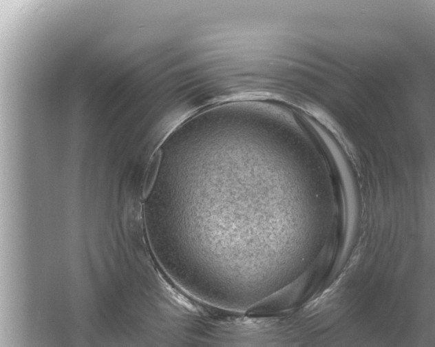 X0000060791193200511141435