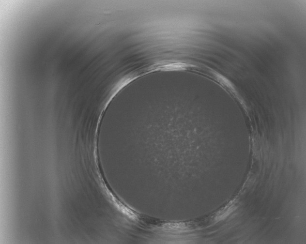 X0000060791194200511141435