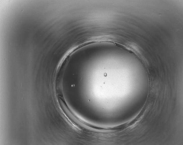 X0000060791196200511141435