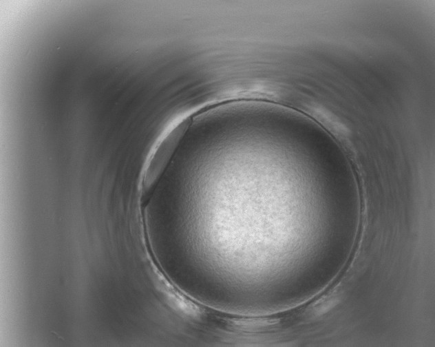 X0000060791200200511141435