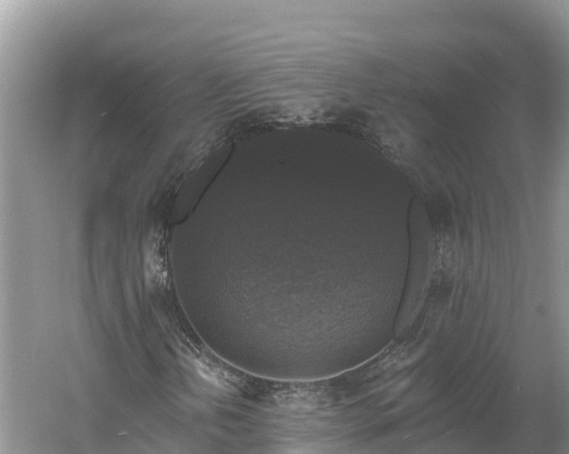 X0000060791202200511141434