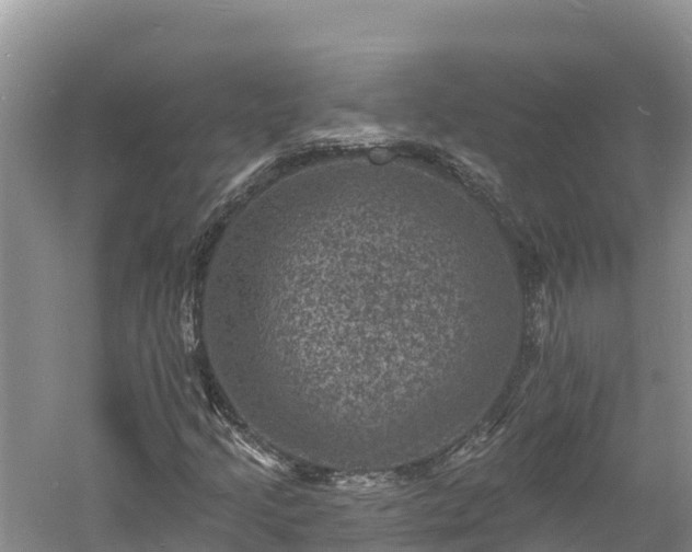 X0000060791205200511141434