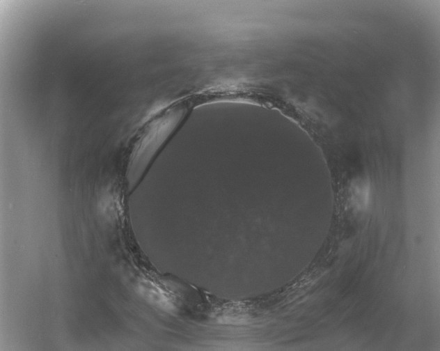 X0000060791206200511141434