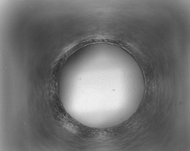 X0000060791207200511141434