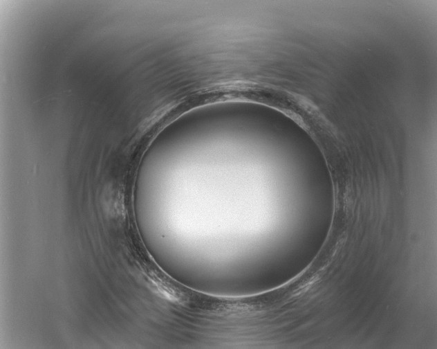 X0000060791209200511141434