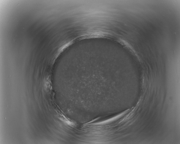 X0000060791210200511141434