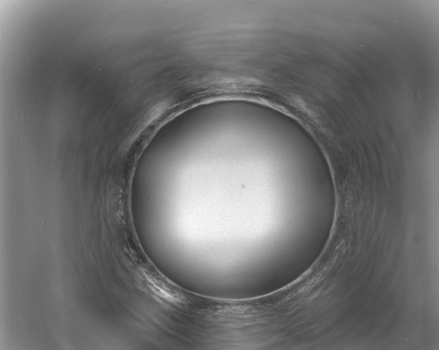 X0000060791211200511141434