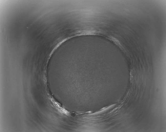 X0000060791212200511141434