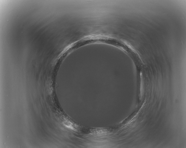 X0000060791213200511141435