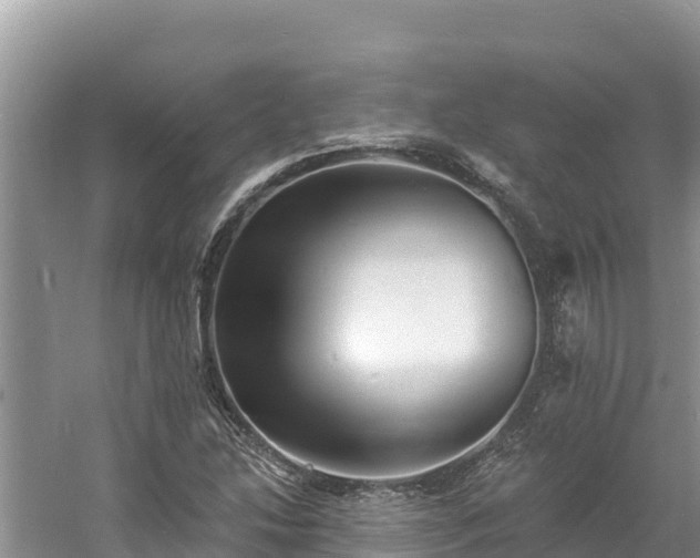 X0000060791214200511141435