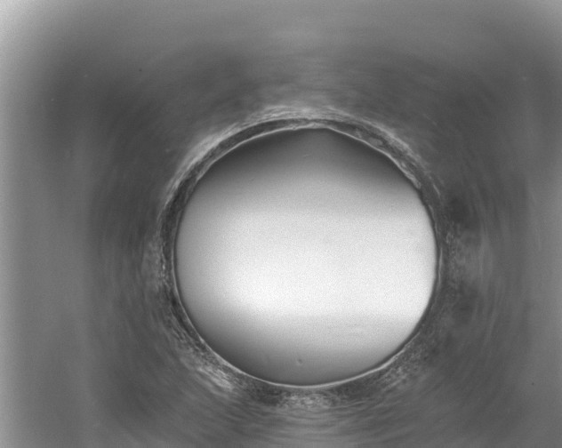 X0000060791215200511141435