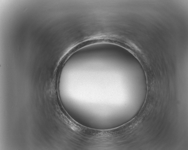 X0000060791216200511141435