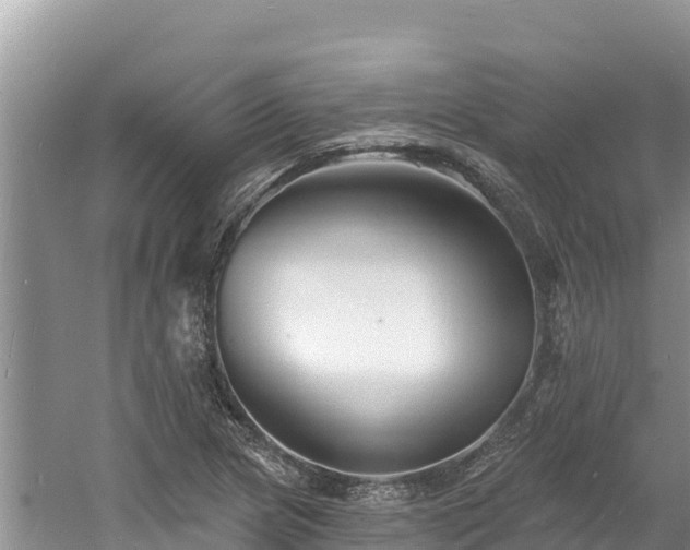 X0000060791217200511141435