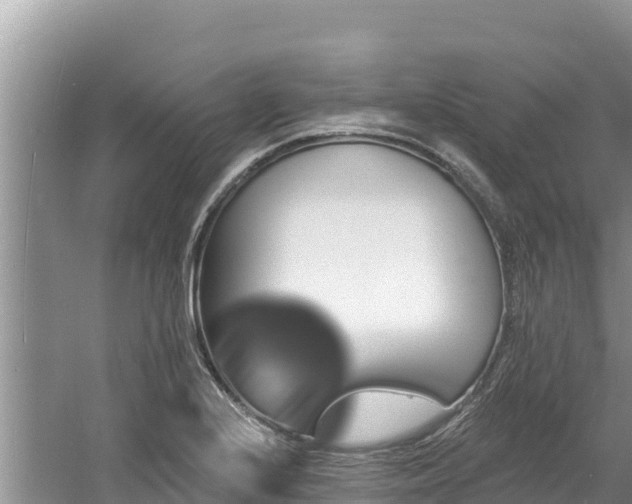 X0000060791224200511141435