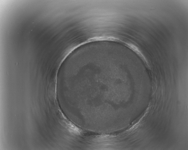 X0000060791228200511141435