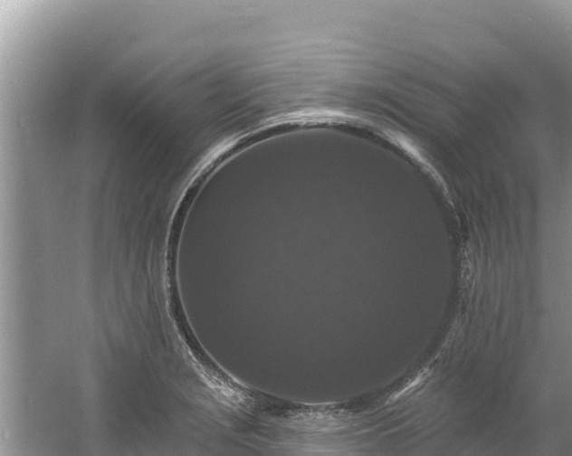 X0000060791229200511141435