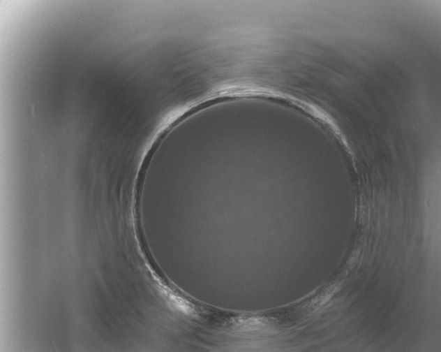 X0000060791231200511141435