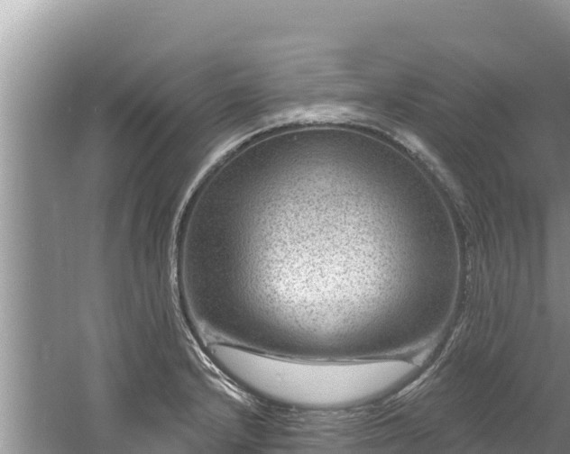 X0000060791232200511141435