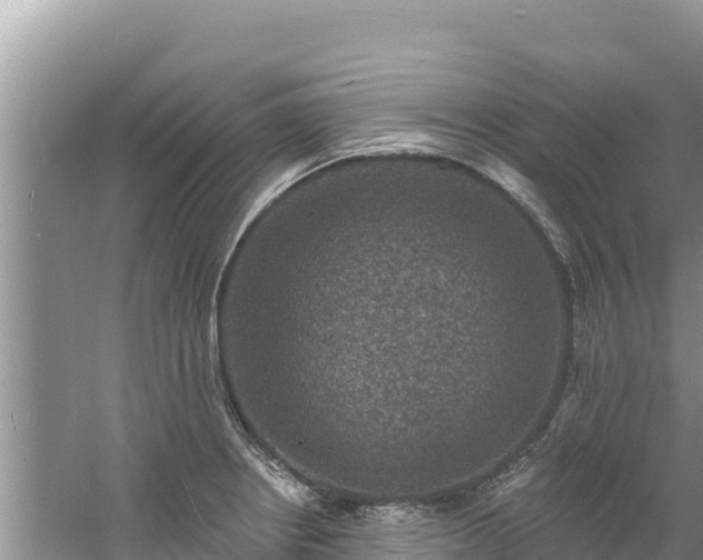 X0000060791234200511141435