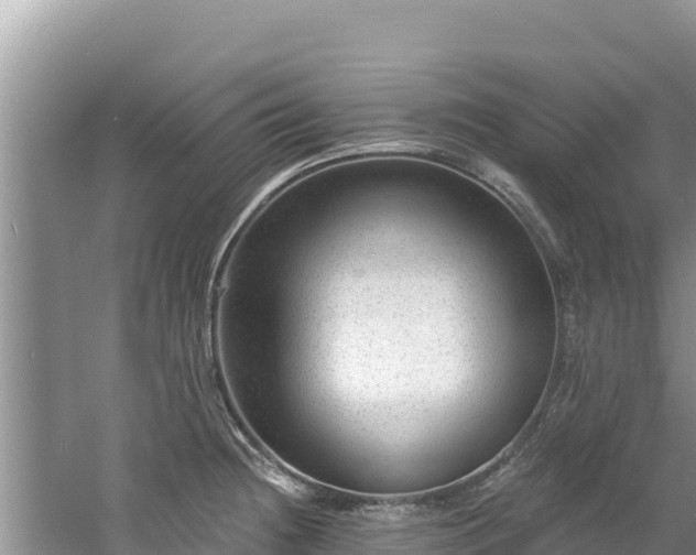 X0000060791236200511141435