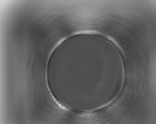 X0000060791237200511141435