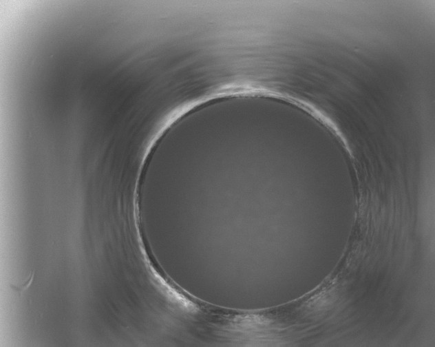 X0000060791239200511141435