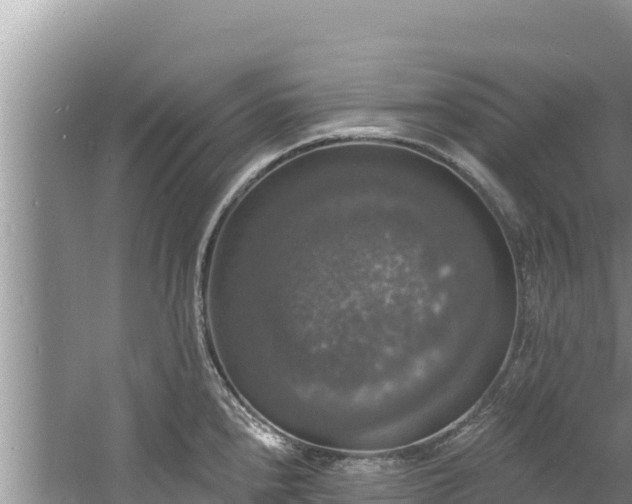 X0000060791240200511141435