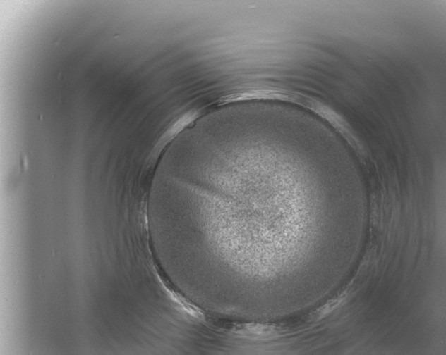 X0000060791241200511141435